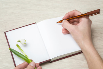 Hand holding snowdrop flower on the opened book and writing a text. Spring inspiration.