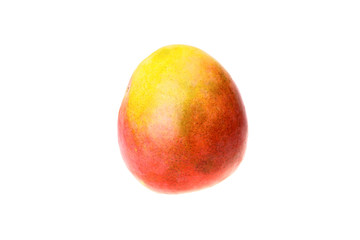 One ripe mango of  red and orange colors