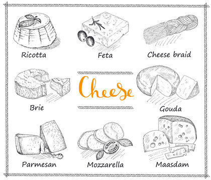Cheese set vintage illustration.