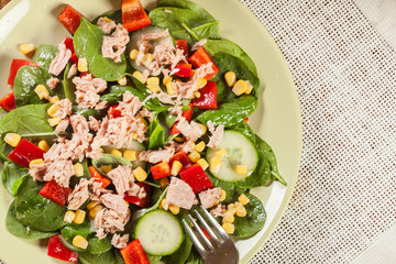 Fresh spinach salad with tuna, cucumber, corn, and red paprika o