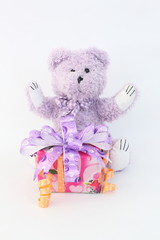 Purple bear and gift box on a white background.