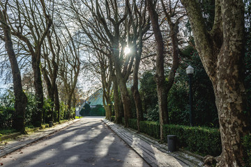 Fototapeta na wymiar Crystal Palace Gardens public park in Porto, Portugal