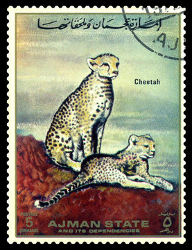 Vintage  postage stamp. Cheetah.