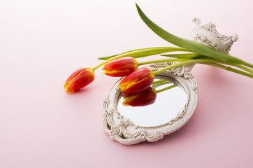 かがみとチューリップ