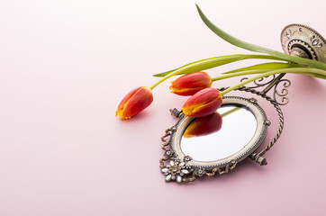 かがみとチューリップ