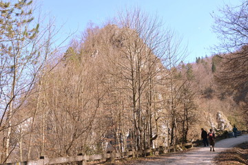 Road to the winter and touristic station Poiana Brasov, 12 km from Brasov, a town situated in...