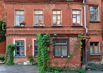 Fototapeta na wymiar Old and cozy residential courtyard. Red brick wall overgrown with green ivy.