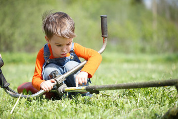 A little boy is considering a trimmer on a summer day.