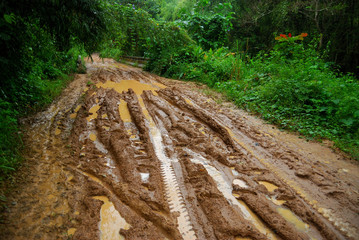 A muddy  road  to a great waterfall after raining in the forest No.1
