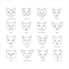 Cat breeds outline icon set