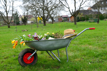 Schubkarre mit Blumen