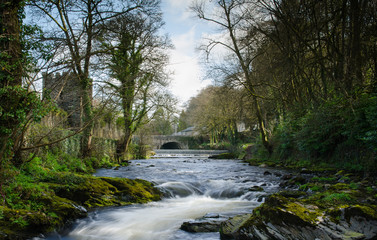 The River Tavy