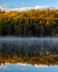 Obraz premium Autumn colored trees by lake with mist