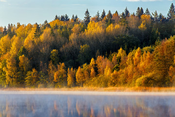 Fall colored trees and water during early morning in Sweden