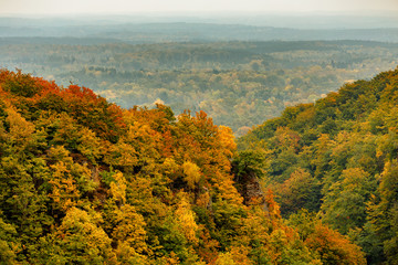 Fall landscape in S&ouml;der&aring;sens National park in Sweden