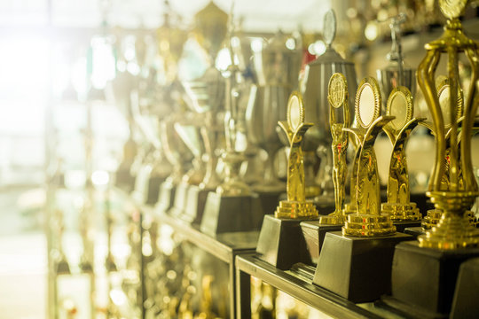 Trophy awards for champion people