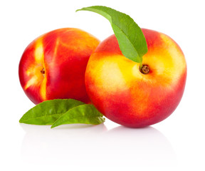Two nectarine fruit with green leaf isolated on a white background