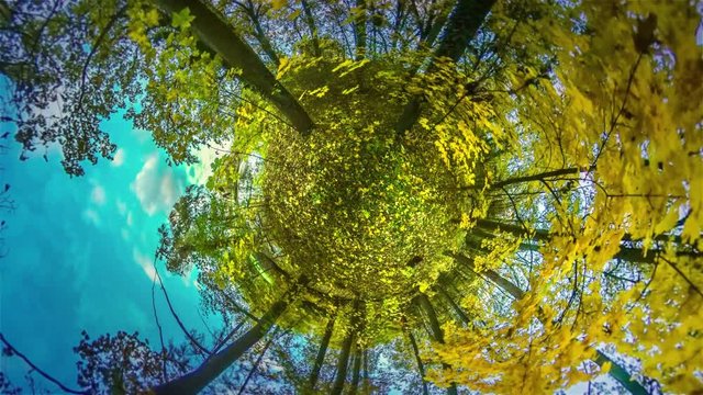 Sky Over Trees Park Mini Planet 360 Degree Resort City Fresh Air Breathing Health Care Hiking in Poland Traveling the World Beautiful Autumn in Forest