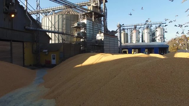 Pig Farm, Feed Mill,aerial