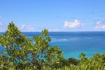 Fototapeta na wymiar Anse Takamaka, Praslin Island, Seychelles, Indian Ocean, Africa