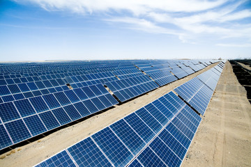 solar panels in the field