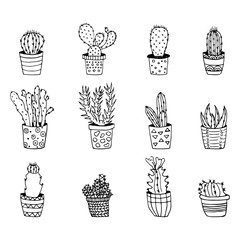 Cute hand drawn cactuses in Flower pots.