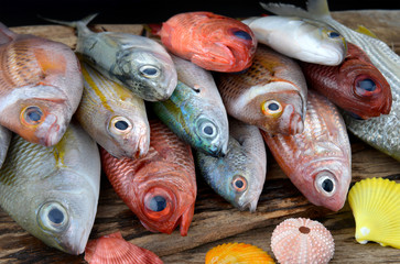mix colorful fresh fishes