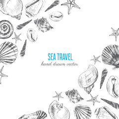 Seashell hand drawn vector etching sketch isolated on white background, decorative frame, underwater marine texture, template label layout design for card, beauty salon, natural cosmetic, organic shop