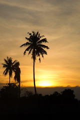 Golden tropical sunset with silhouette palm trees