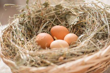 Домашние яйца в перьях и корзине