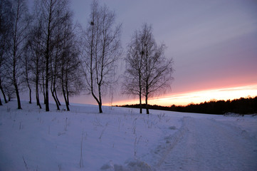 Winter evening landscape. Leafless trees on a snowy field at sunset sky background.