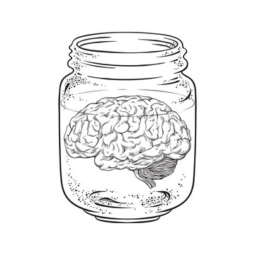 Naklejka Human brain in glass jar isolated. Sticker, print or blackwork tattoo design hand drawn vector illustration
