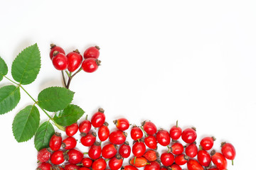 bunch of fresh dog rose with green leaves on white background. Different types Rosa canina hips - selective focus. room for text 