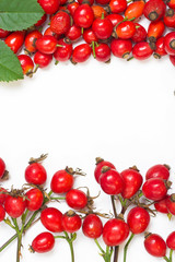 bunch of fresh dog rose with green leaves on white background. Different types Rosa canina hips - selective focus. room for text 