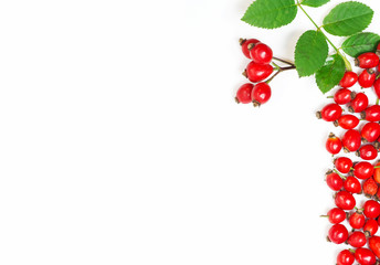bunch of fresh dog rose with green leaves on white background. Different types Rosa canina hips - selective focus. room for text 