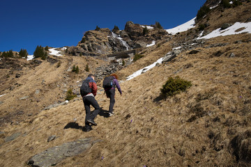 Fototapeta premium Family of hikers in the mountains