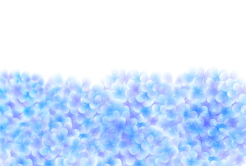 あじさい　梅雨　花　背景