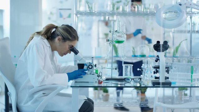  Research scientists studying plant life in laboratory