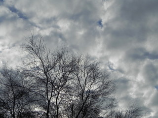 Fototapeta na wymiar Paesaggio nuvolo grigio