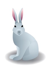 Gris lapin