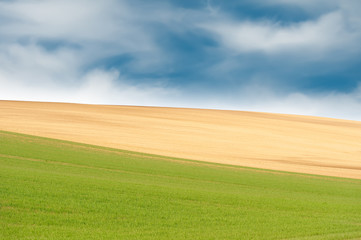 Young wheat field and arable fields under the bright sky. Spring rural landscape - 143420668