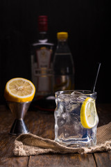 Alcoholic gin tonic with gin, tonic and with ice