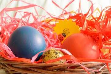 Easter eggs on a light background