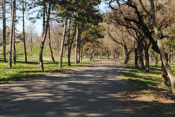 Fototapeta premium Track for running in the park
