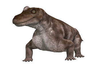 Fototapeta premium 3D Rendering Dinosaur Keratocephalus on White