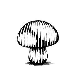 Vectorized Ink Sketch of a Mushroom