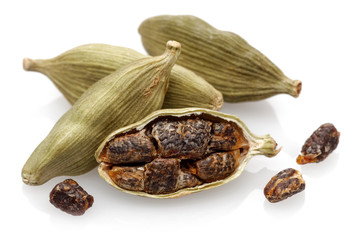 Cardamom