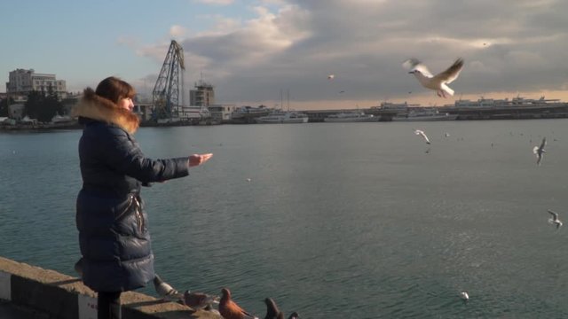 Gulls catch on the fly food thrown by a woman. Yalta Crimea. Slow motion,high speed camera 120 fps