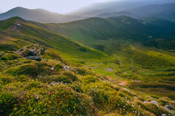 Fototapeta na wymiar Mountain valley during sunrise / sunset. Natural summer landscape. Colorful summer landscape in the Carpathian mountains.