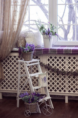 Lavender flowers in white pots, wicker baskets and small bicycle stand on the stairs and on windowsill. Steps of wooden ladder with spring interior.